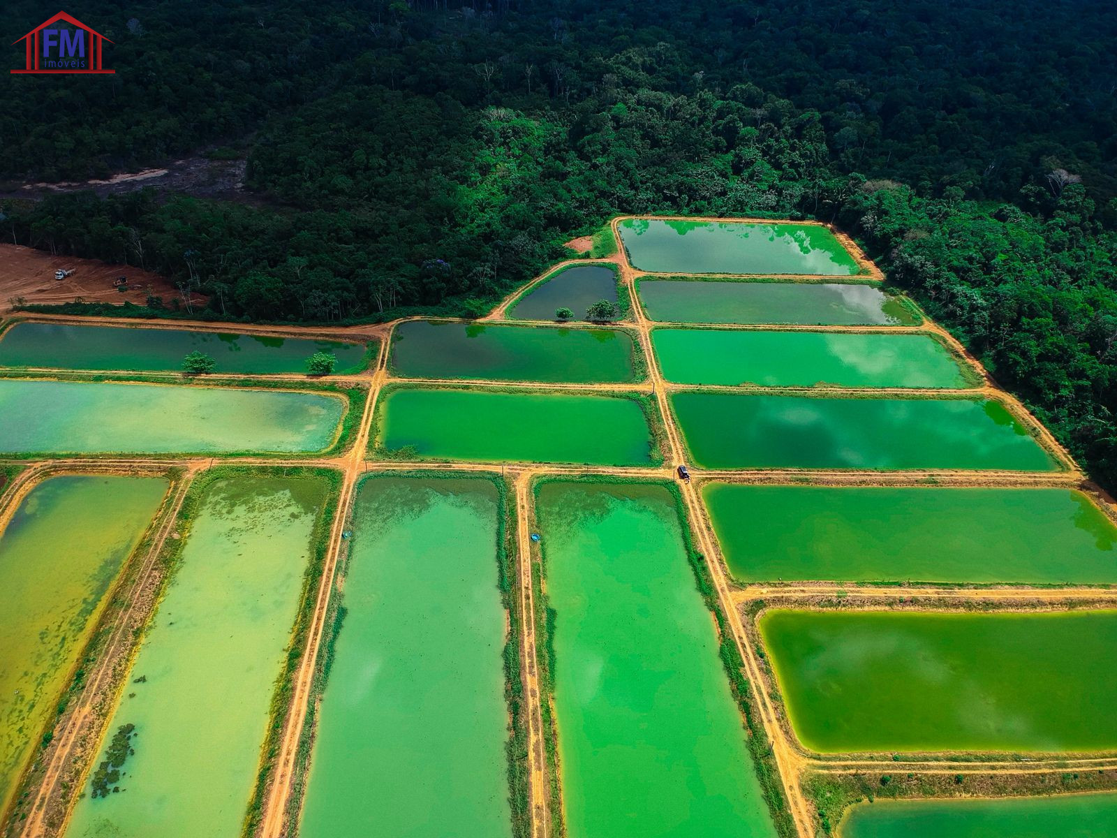 Fazenda - Foto 15