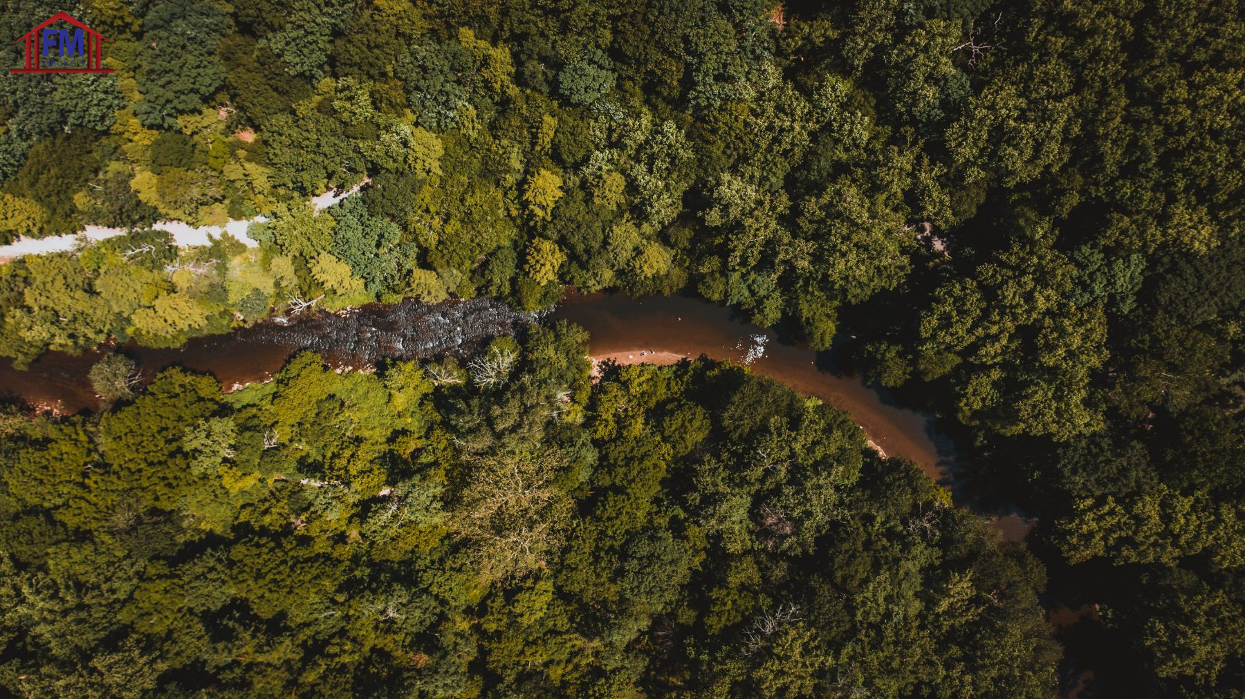 Fazenda - Foto 3