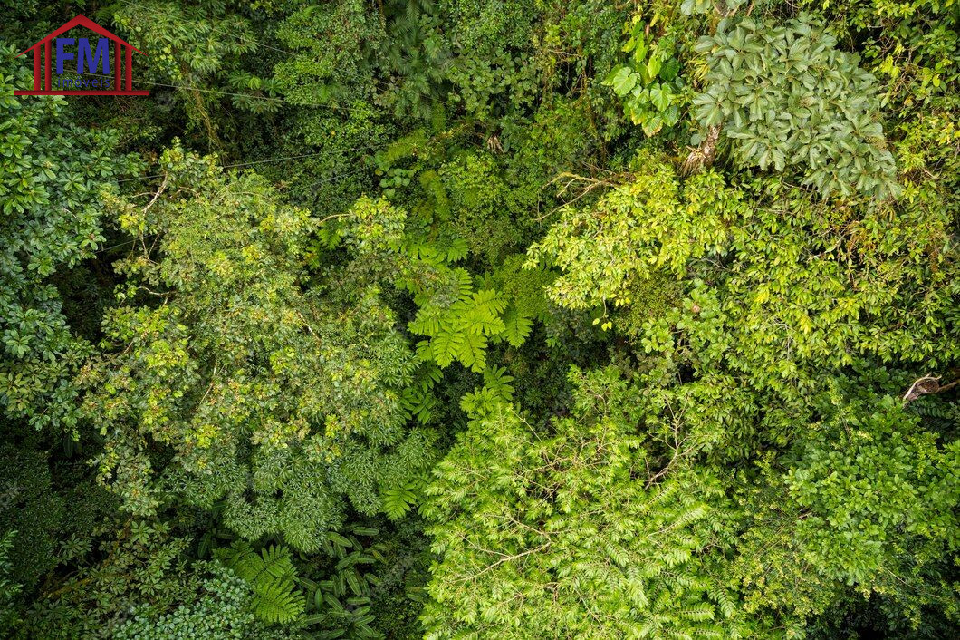Fazenda - Foto 6