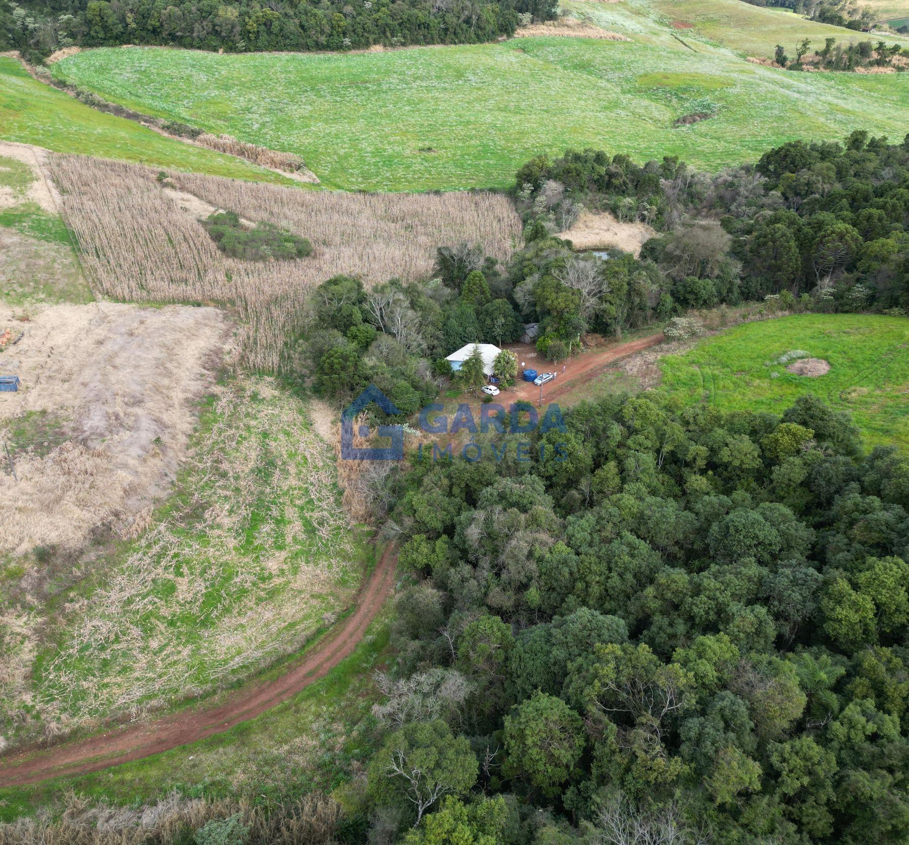 Chacara bem localizada a 500 metros do asfalto 