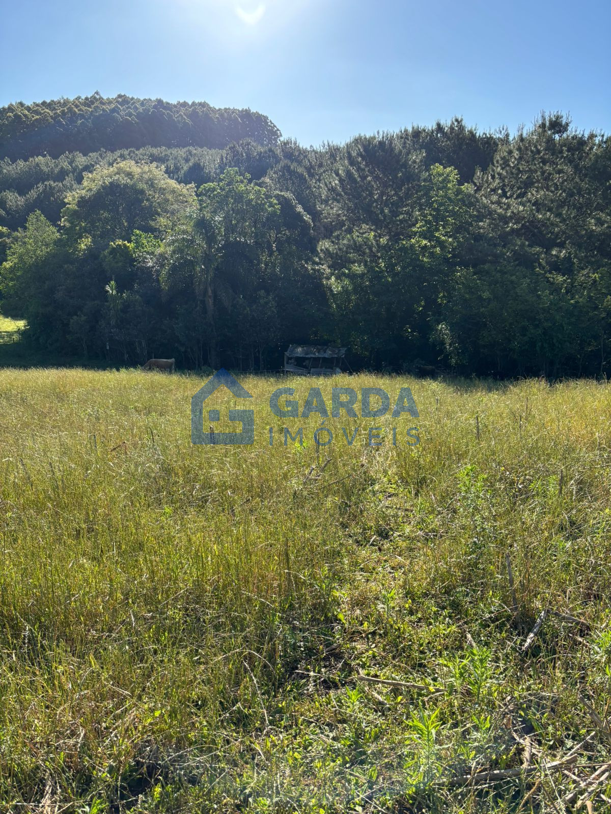 Garda Imveis em So Loureno do Oeste/SC