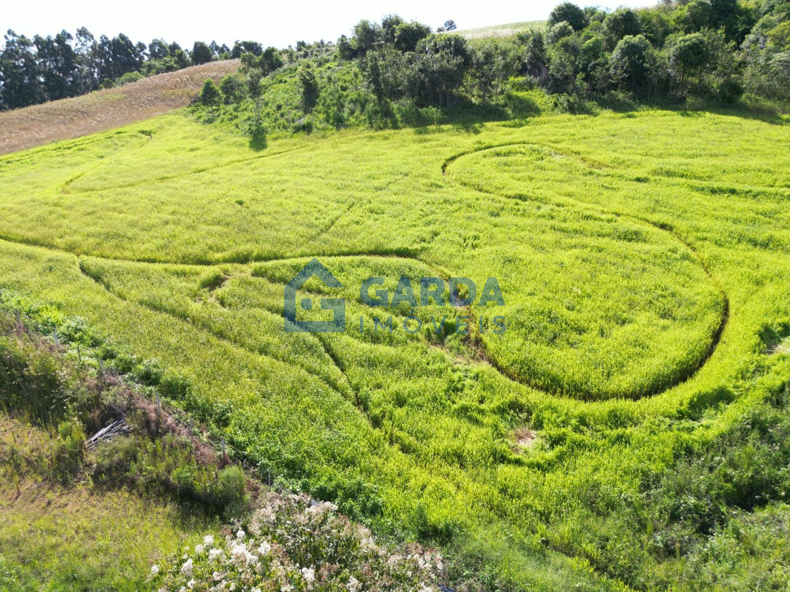 �rea Rural � Venda