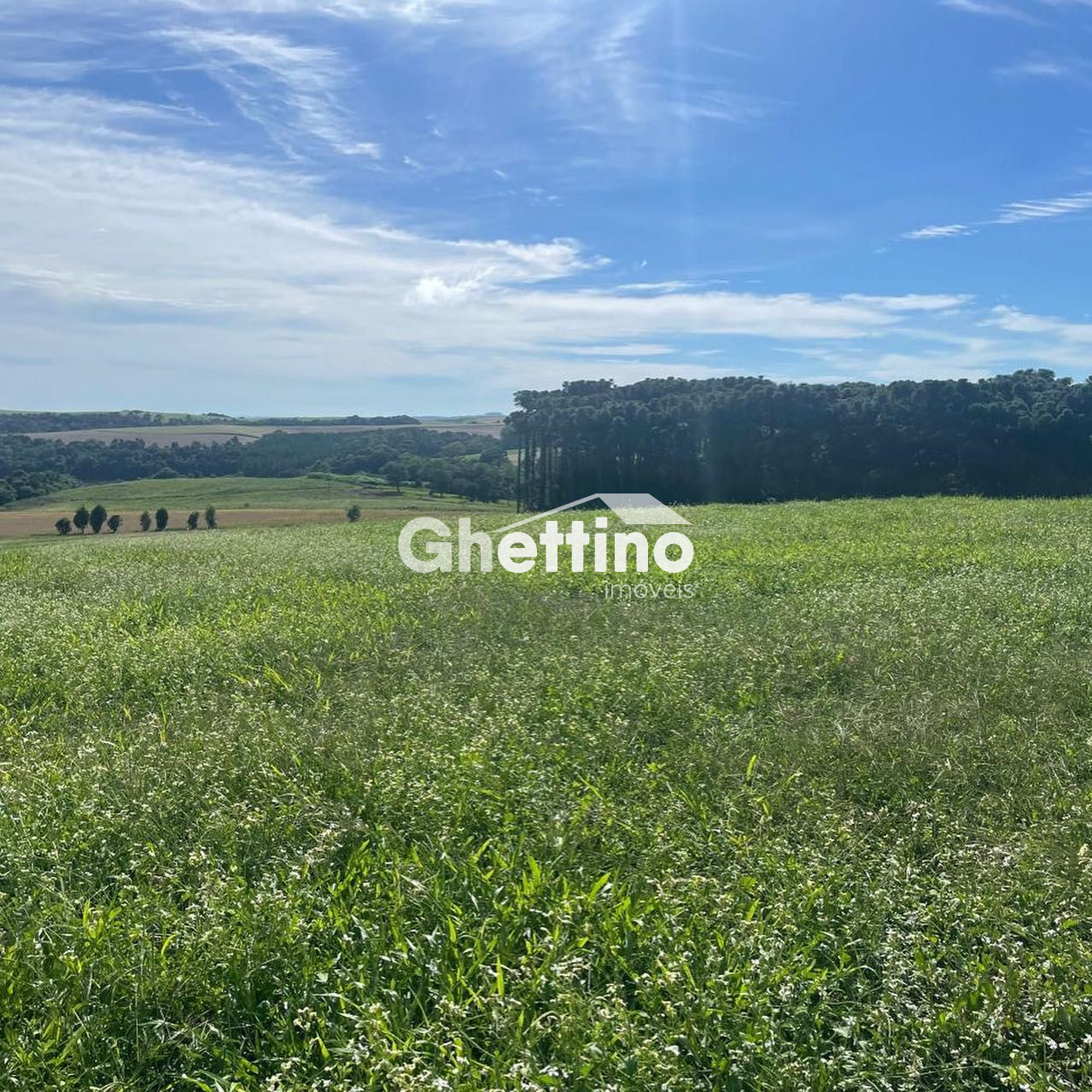 Ghettino Im�veis em Marmeleiro - PR