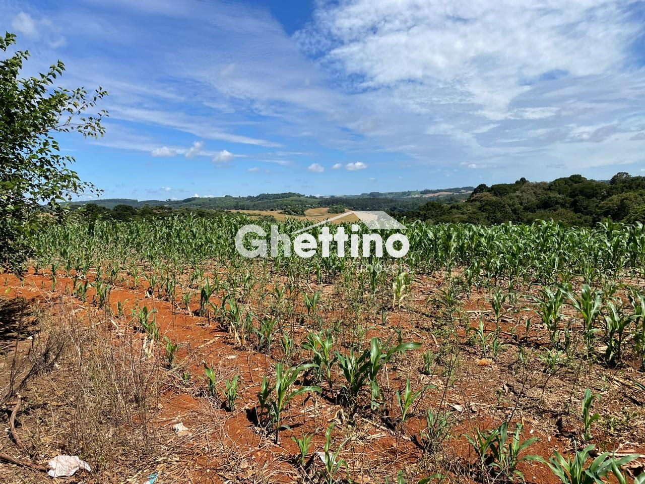 Ghettino Im�veis em Marmeleiro - PR