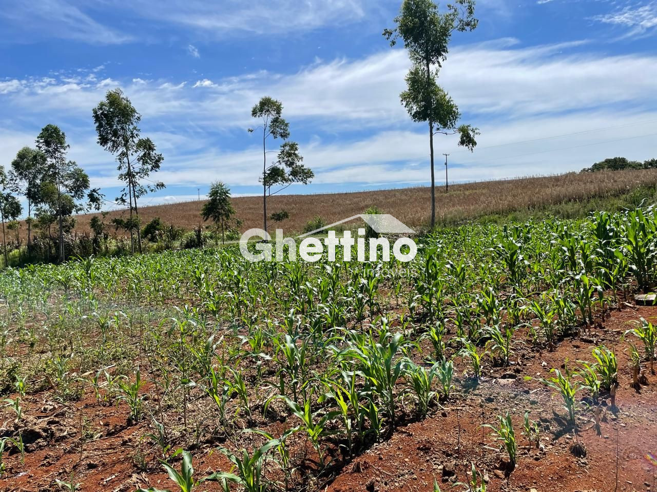 Ghettino Im�veis em Marmeleiro - PR