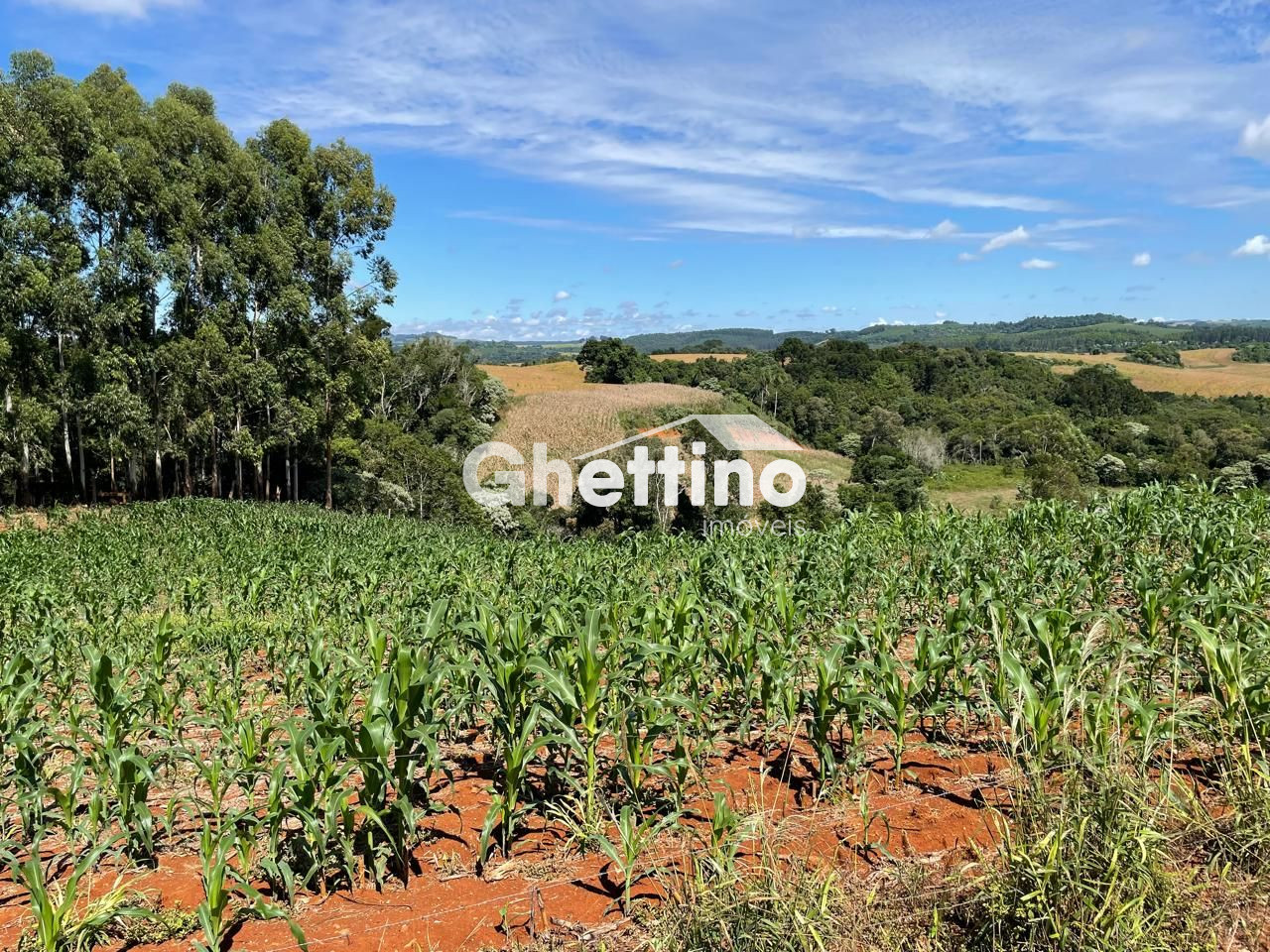 Ghettino Im�veis em Marmeleiro - PR