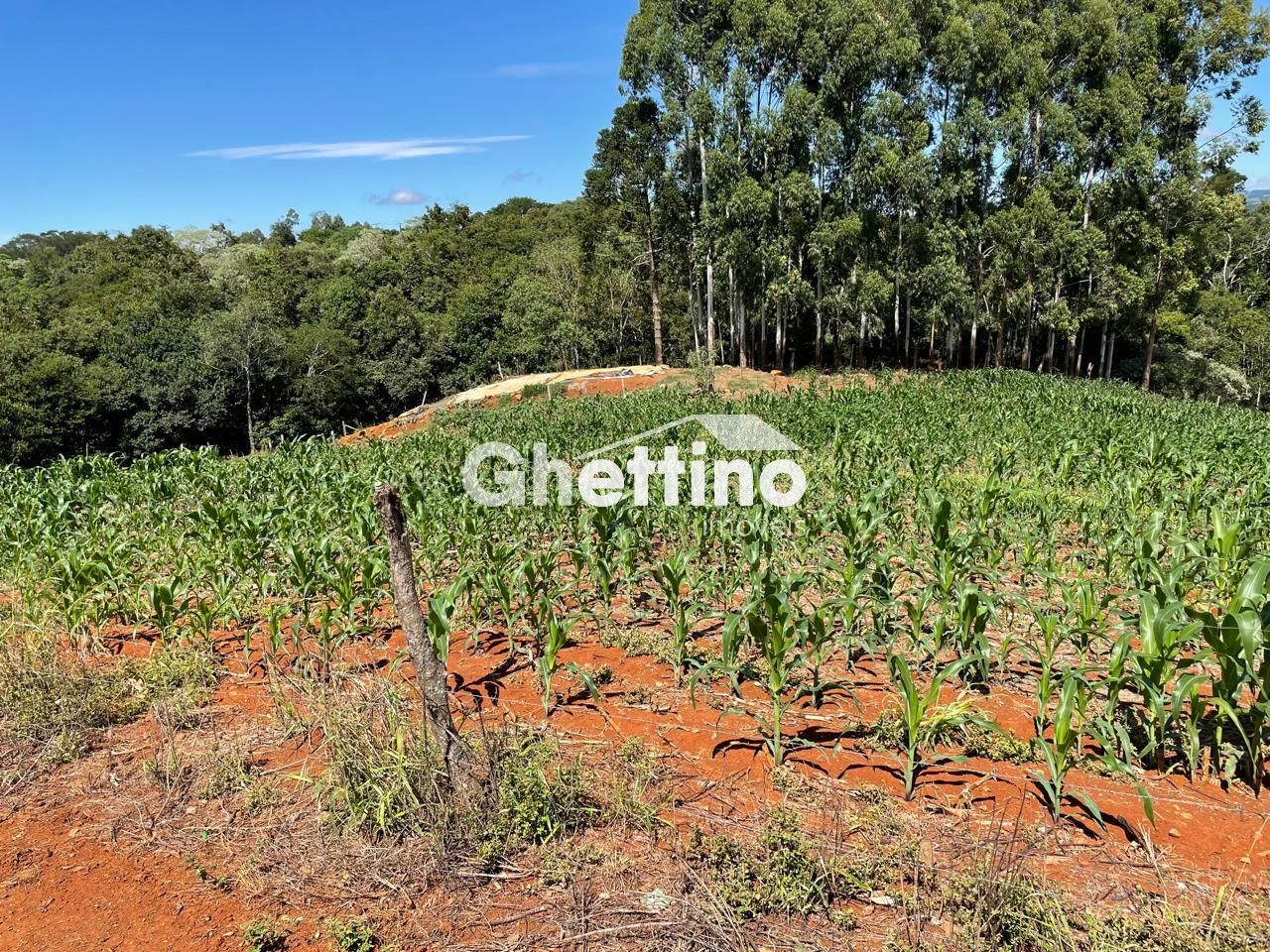 Ghettino Im�veis em Marmeleiro - PR