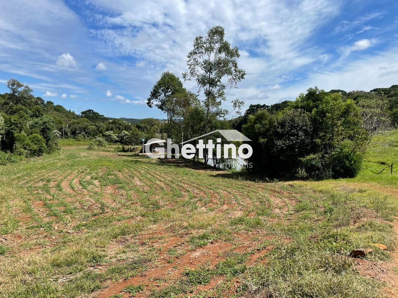 Ghettino Im�veis em Marmeleiro - PR