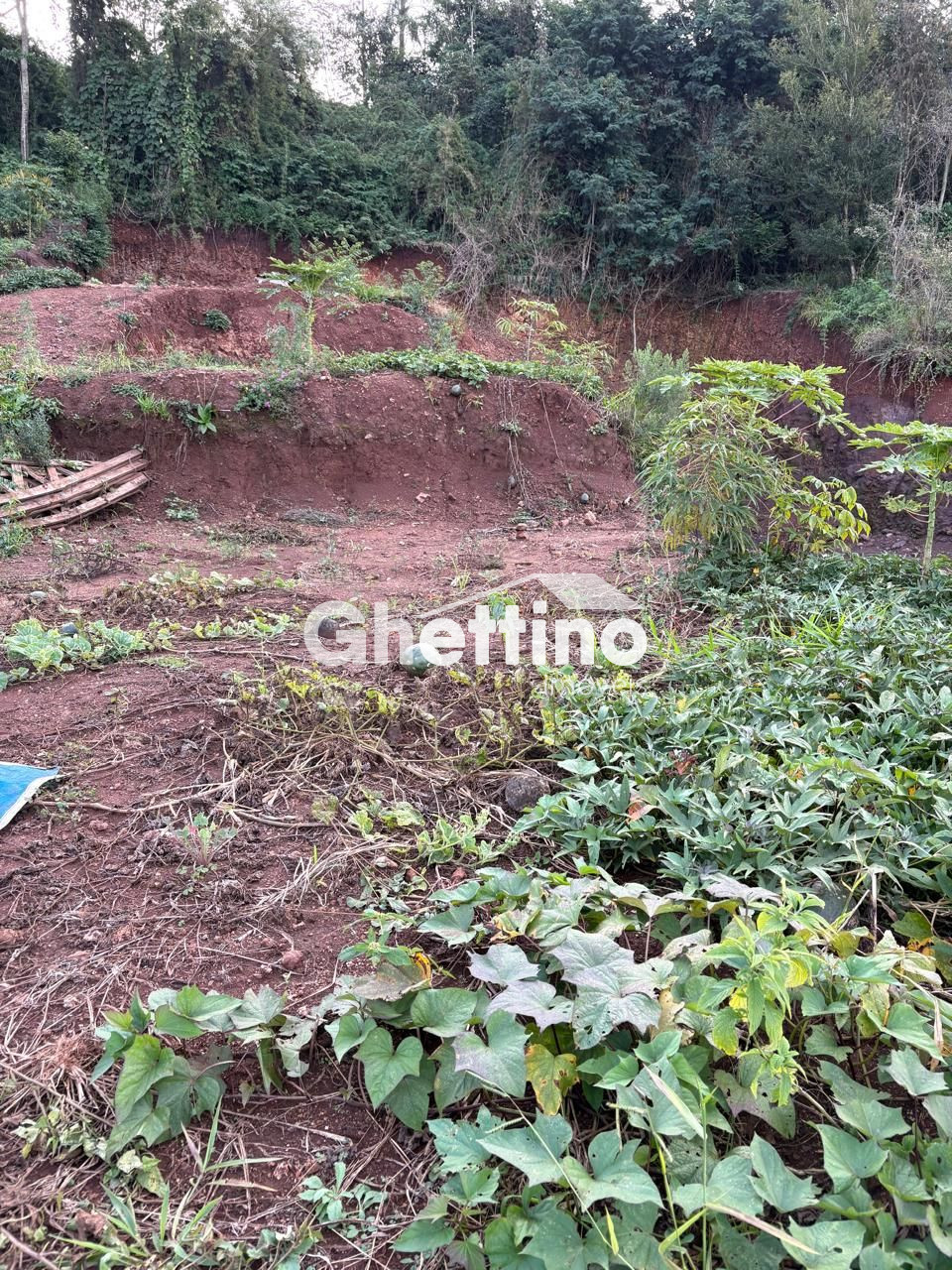 Ghettino Im�veis em Marmeleiro - PR