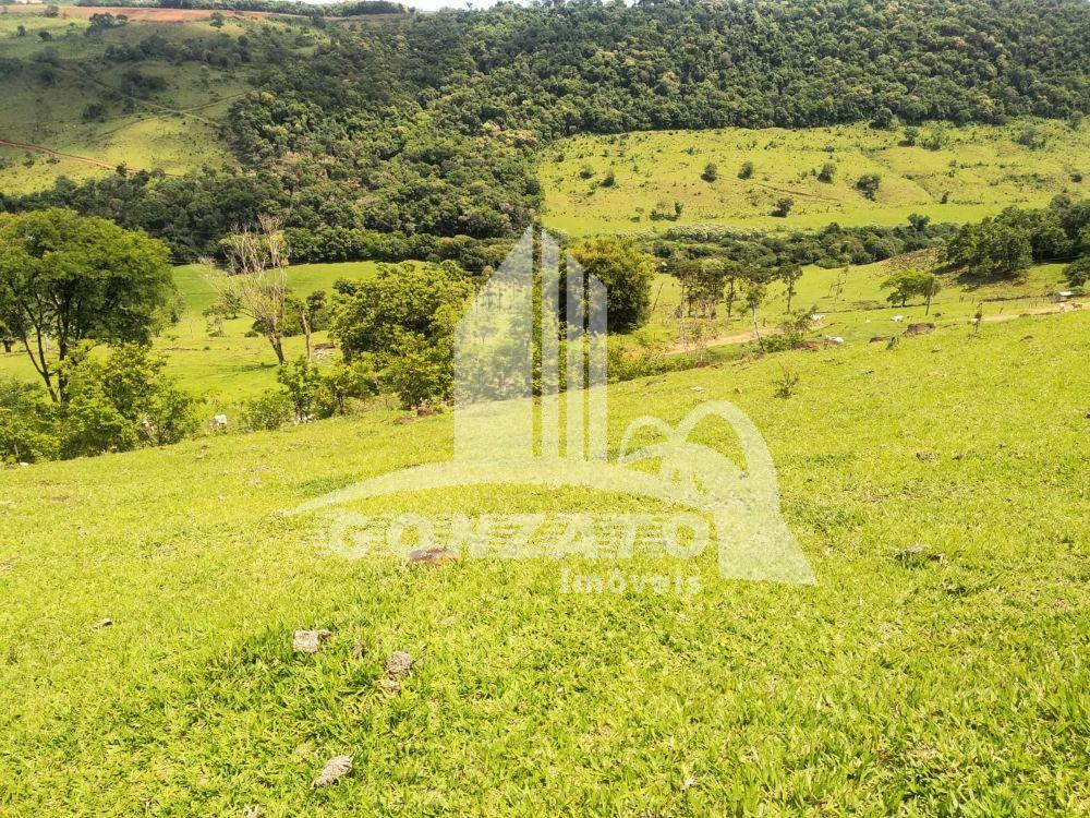 FAZENDA