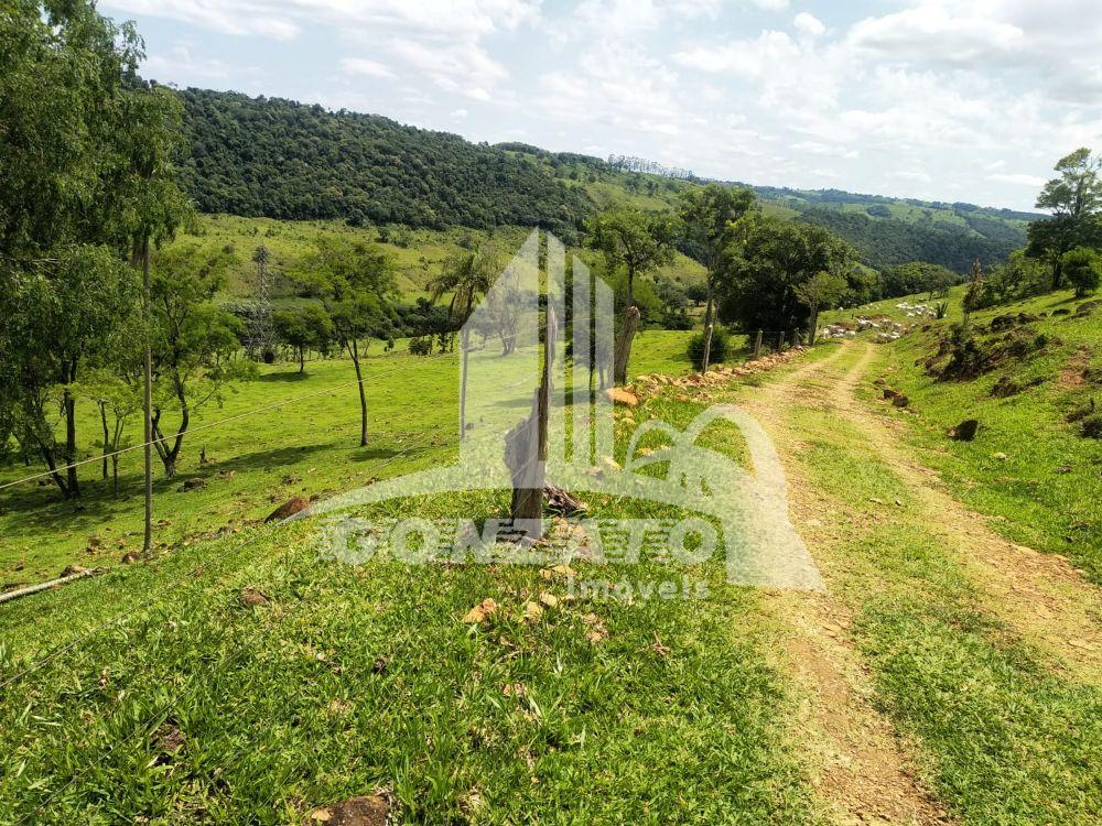 FAZENDA