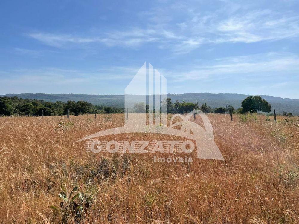 FAZENDA