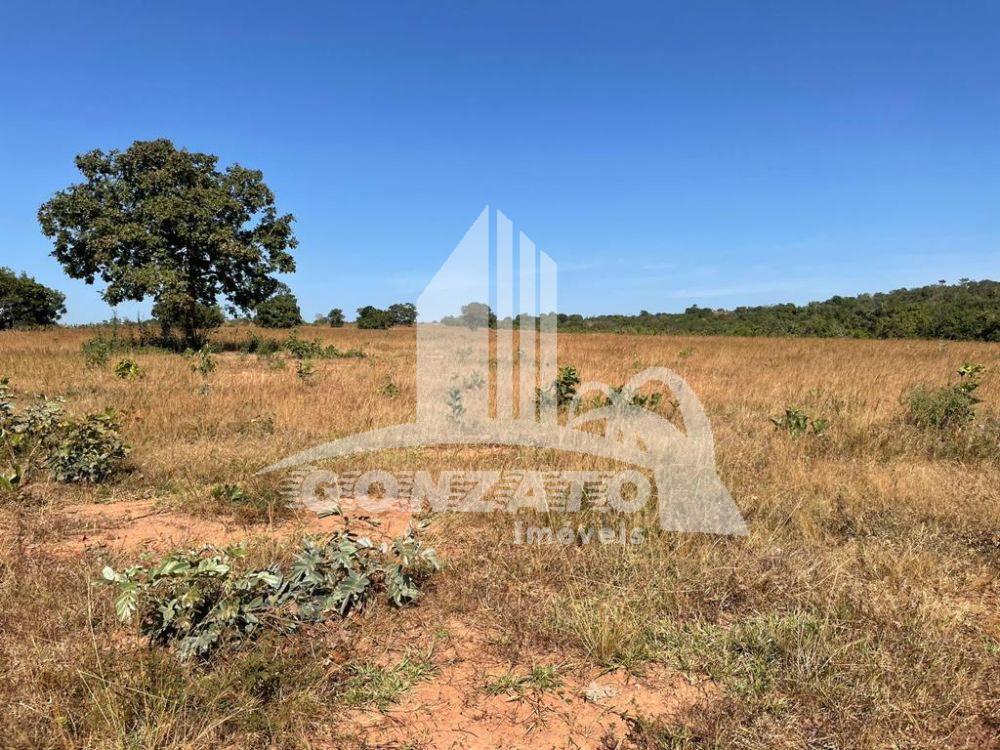FAZENDA