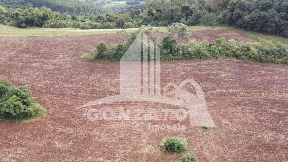 ÁREA RURAL 2,9 ALQUEIRES
