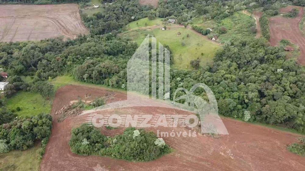 ÁREA RURAL 2,9 ALQUEIRES