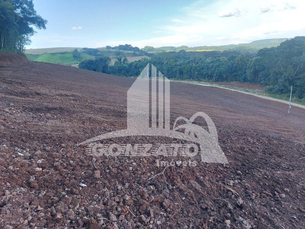 ÁREA RURAL PARA PLANTIO