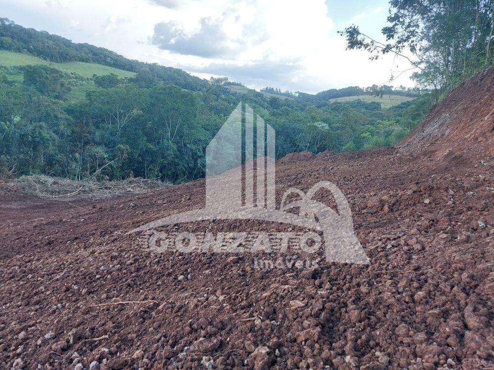 ÁREA RURAL PARA PLANTIO