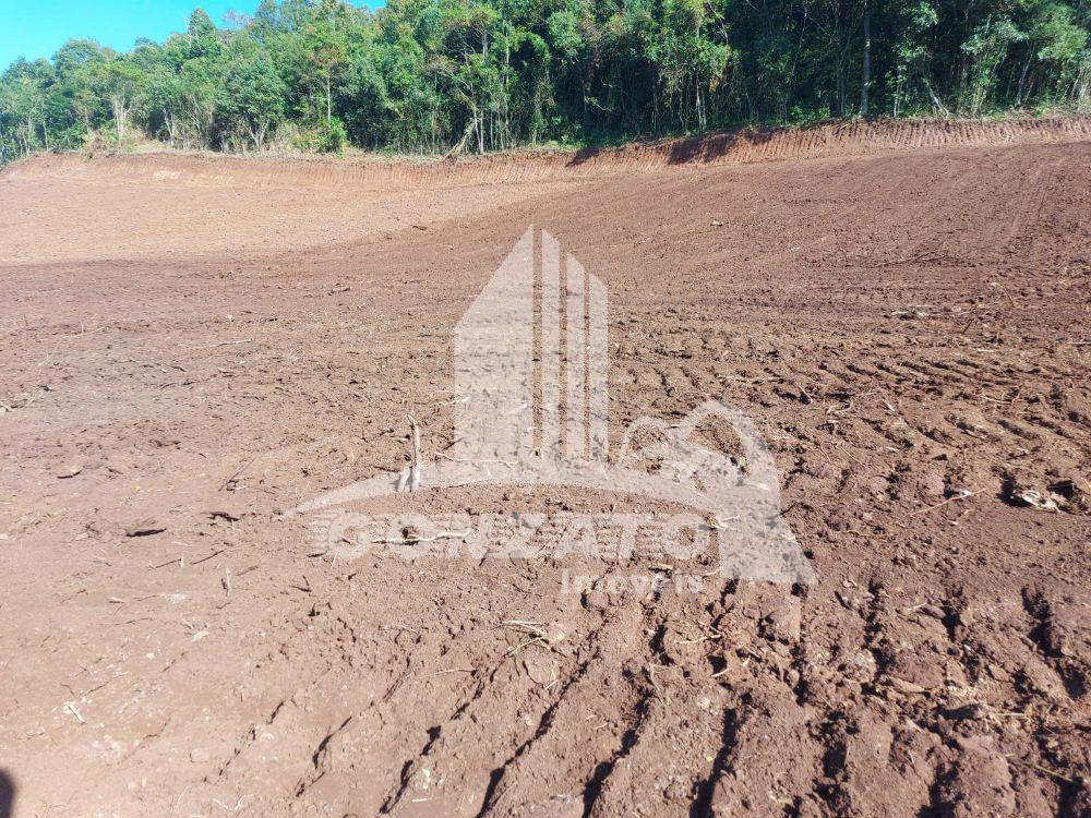 ÁREA RURAL PARA PLANTIO