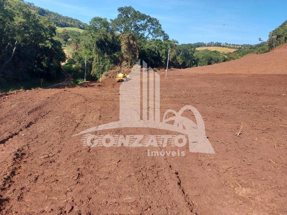 ÁREA RURAL PARA PLANTIO