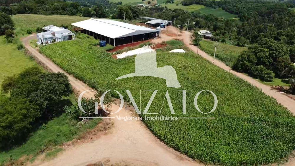 STIO COM 6 AVIRIOS E ESTRUTURA COMPLETA PARA LEITARIA