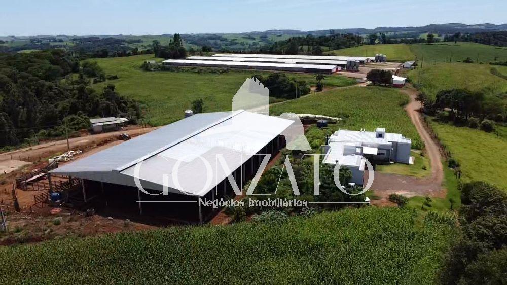 STIO COM 6 AVIRIOS E ESTRUTURA COMPLETA PARA LEITARIA