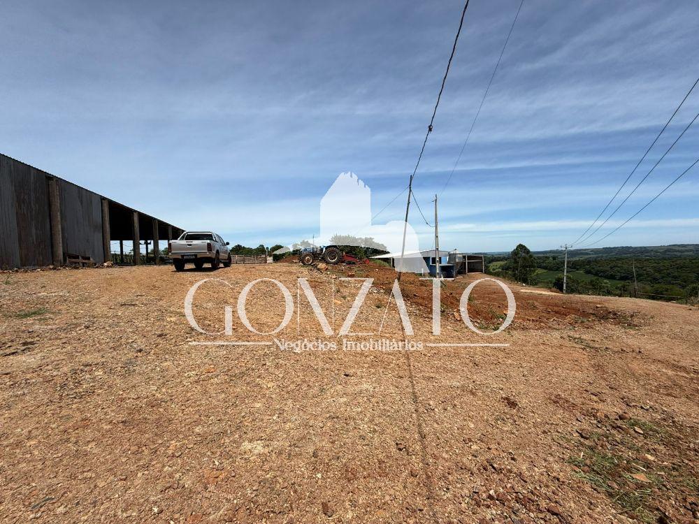 STIO COM 6 AVIRIOS E ESTRUTURA COMPLETA PARA LEITARIA