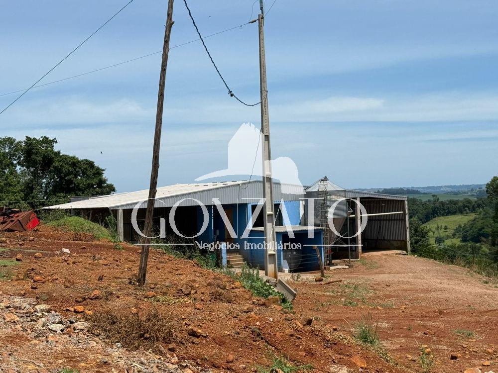 STIO COM 6 AVIRIOS E ESTRUTURA COMPLETA PARA LEITARIA