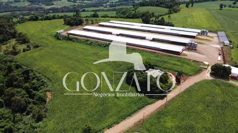 STIO COM 6 AVIRIOS E ESTRUTURA COMPLETA PARA LEITARIA