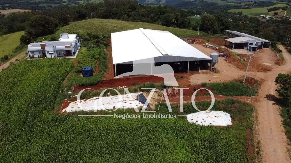 SÍTIO COM 6 AVIÁRIOS E ESTRUTURA COMPLETA PARA LEITARIA