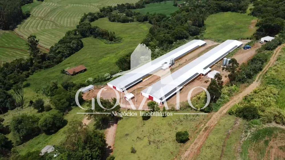 SÍTIO COM 6 AVIÁRIOS E ESTRUTURA COMPLETA PARA LEITARIA