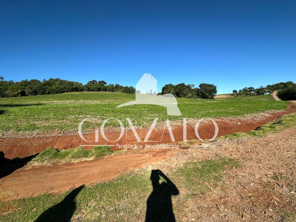 SÍTIO COM 21 ALQUEIRES