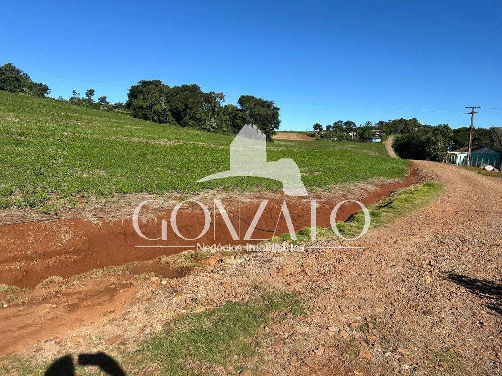 SÍTIO COM 21 ALQUEIRES