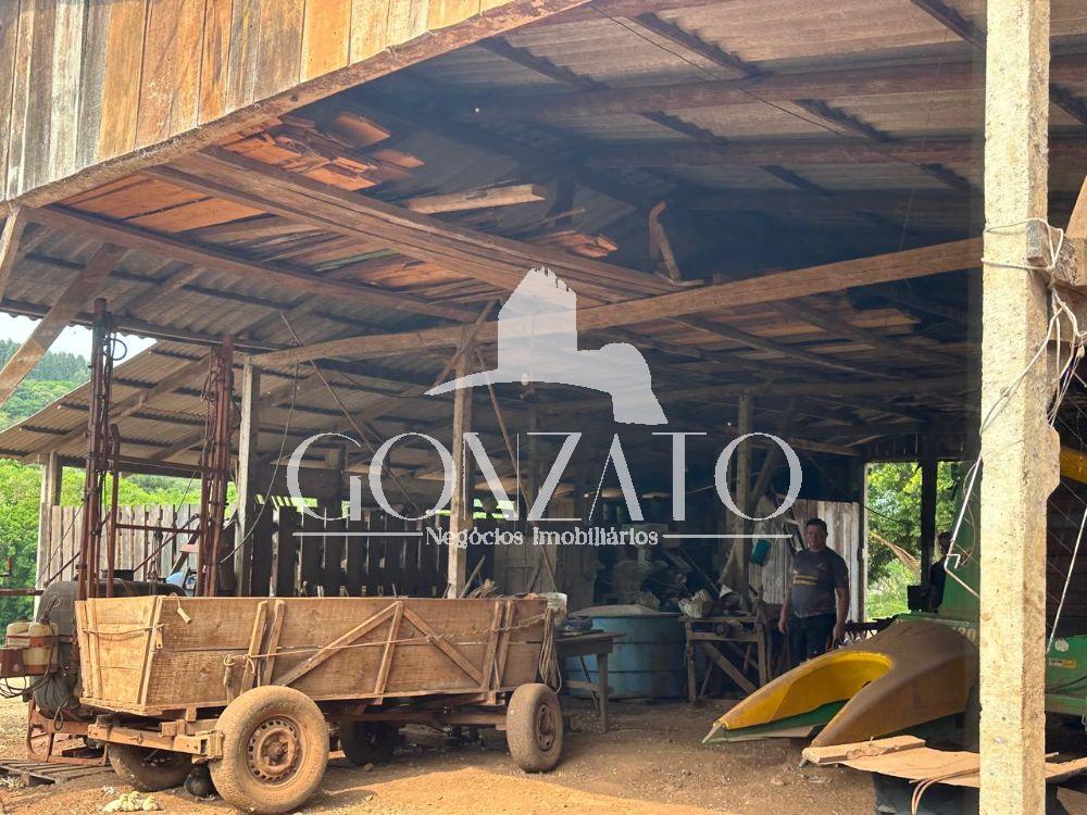 SÍTIO 10 ALQUEIRES, COM APTIDÃO PARA PECUÁRIA