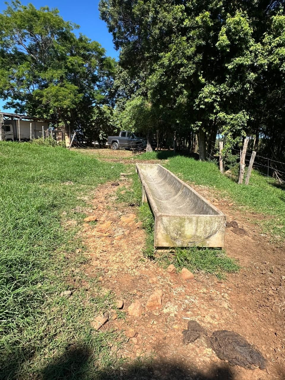 ÁREA RURAL APTIDÃO PECUÁRIA E PLANTIO