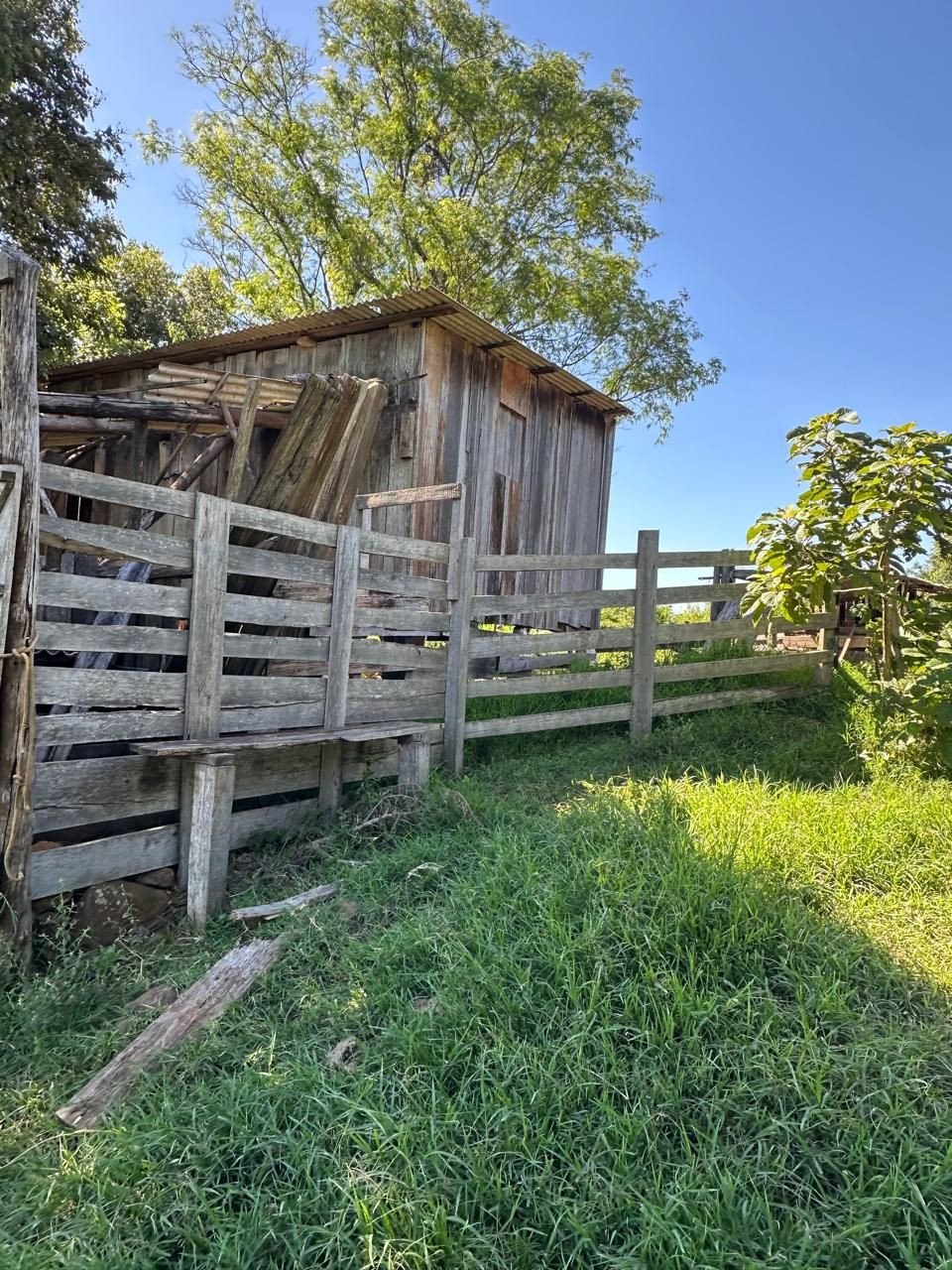 ÁREA RURAL APTIDÃO PECUÁRIA E PLANTIO