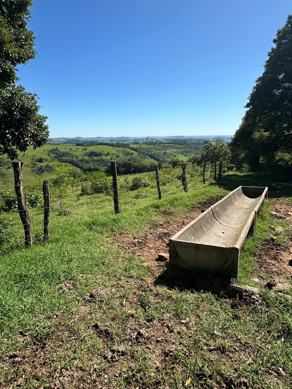 ÁREA RURAL APTIDÃO PECUÁRIA E PLANTIO