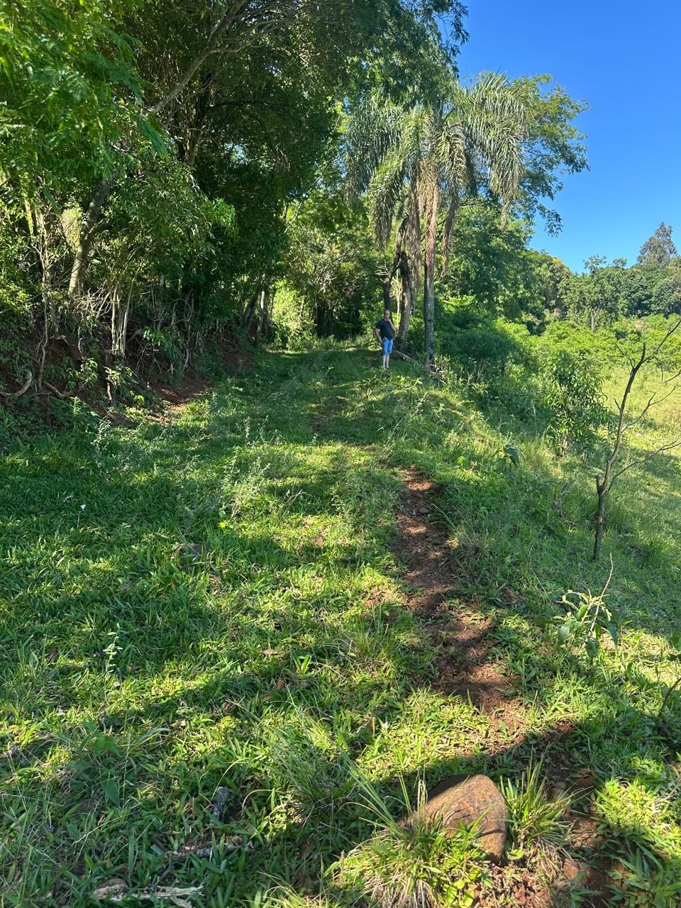 ÁREA RURAL APTIDÃO PECUÁRIA E PLANTIO