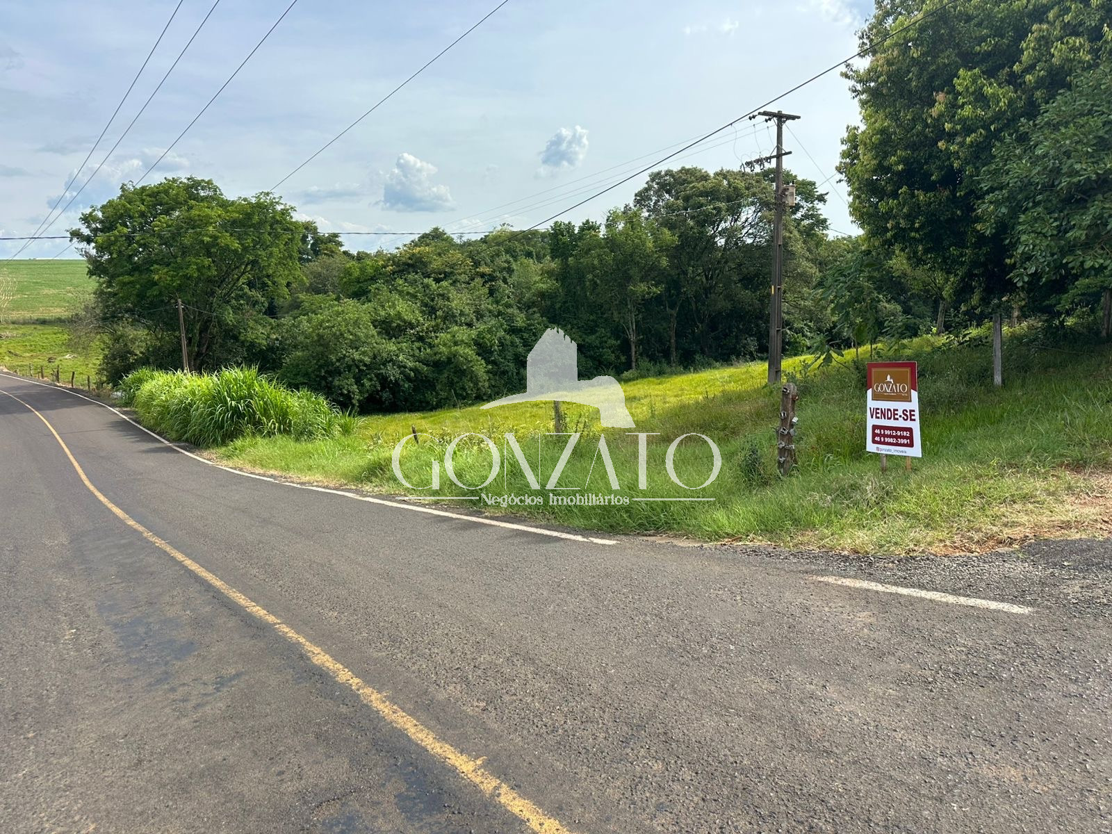 SÍTIO COM AVIÁRIO - 700 METROS DA CIDADE