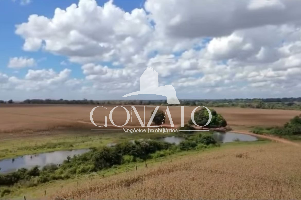 SÍTIO DE FRENTE PARA PR 182