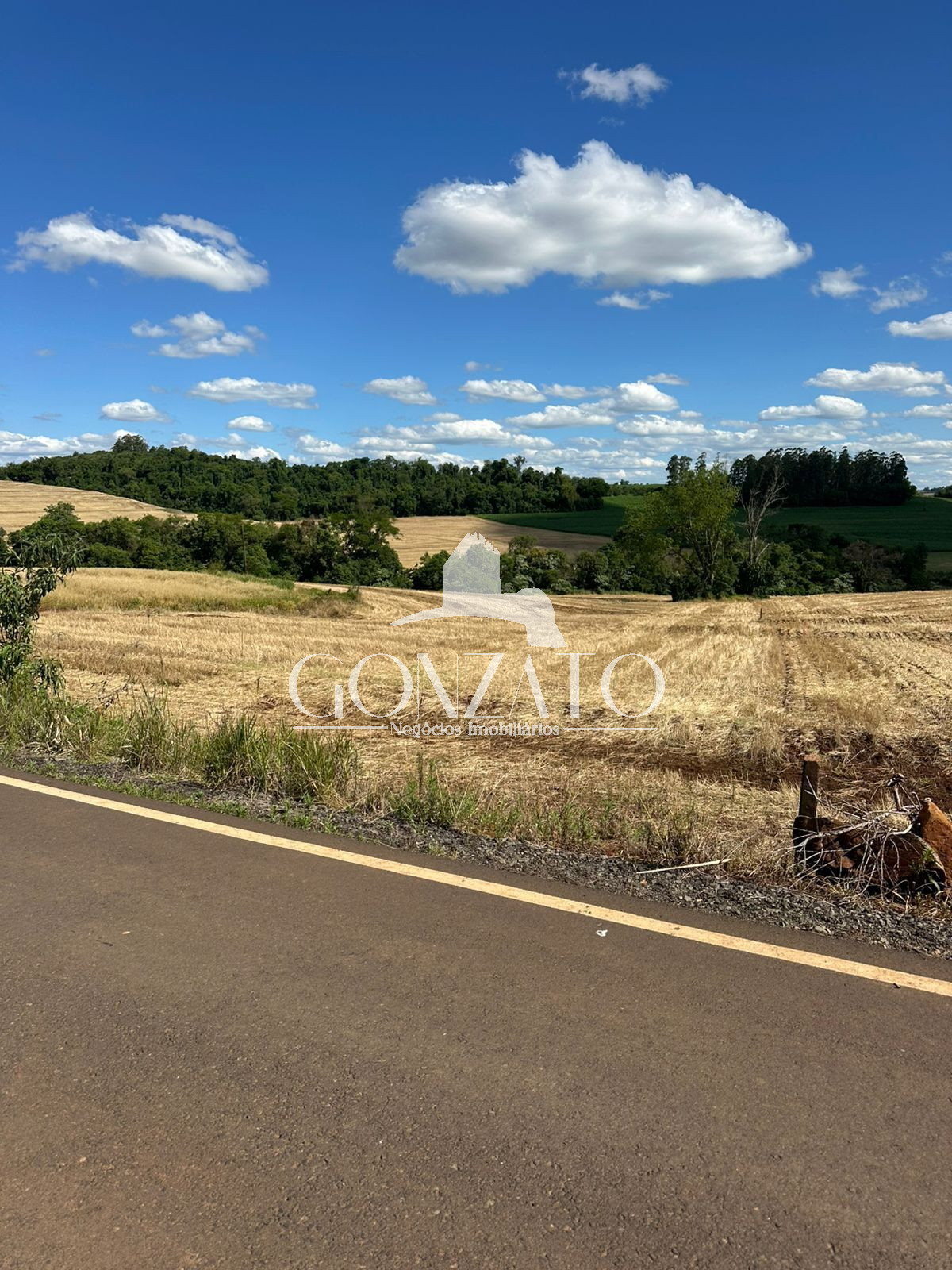 SÍTIO 4,4 ALQUEIRES