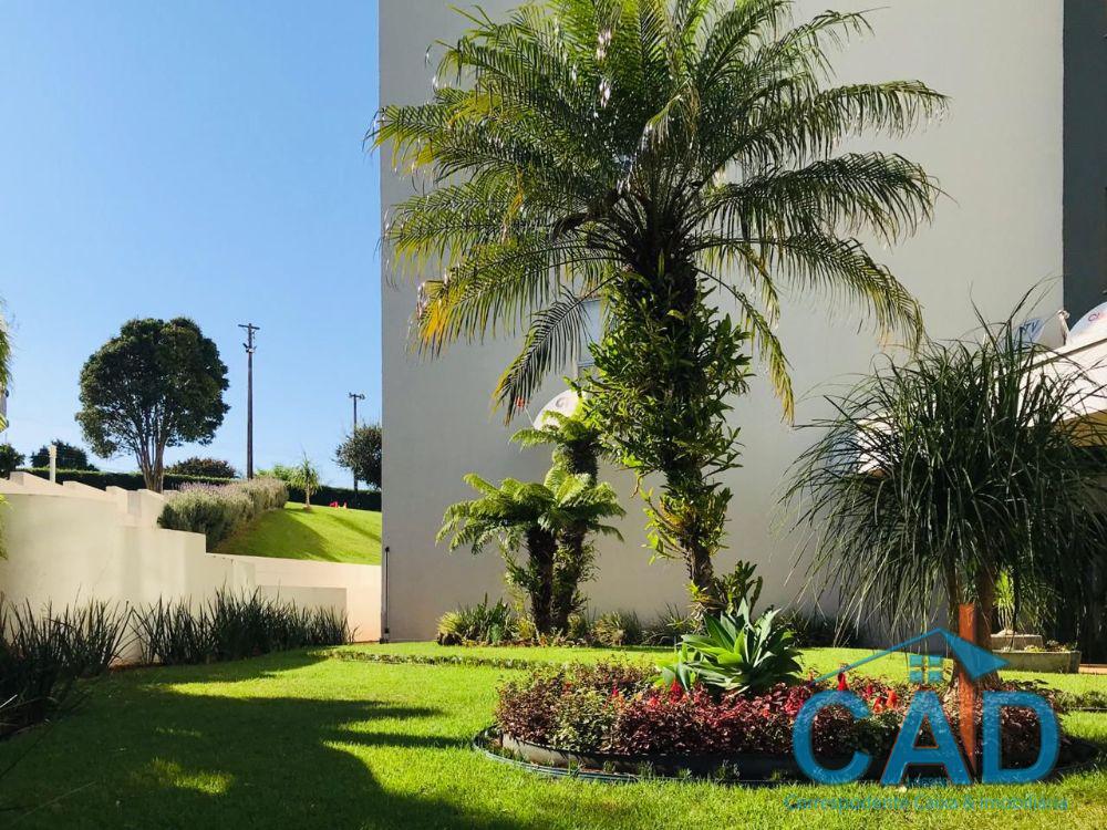 CAD correspondente caixa e Imobiliria