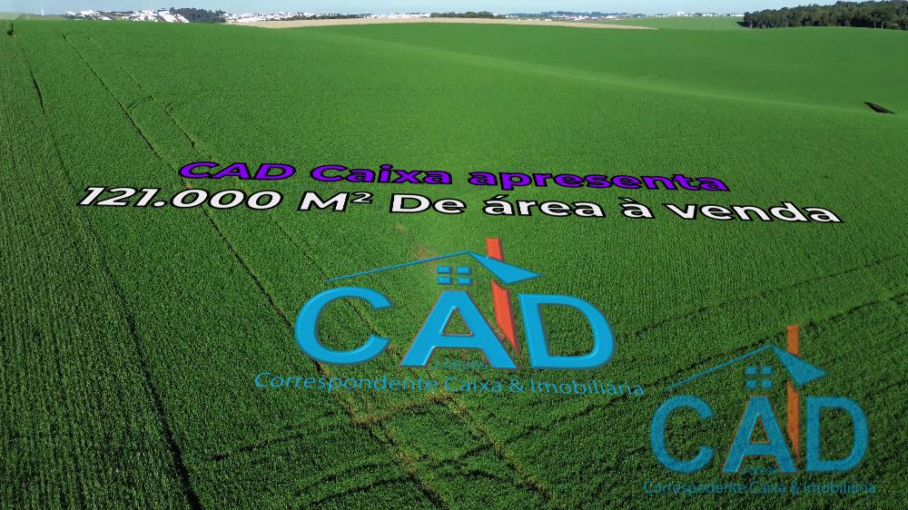 🌳 GRANDE TERRENO À VENDA 🌳