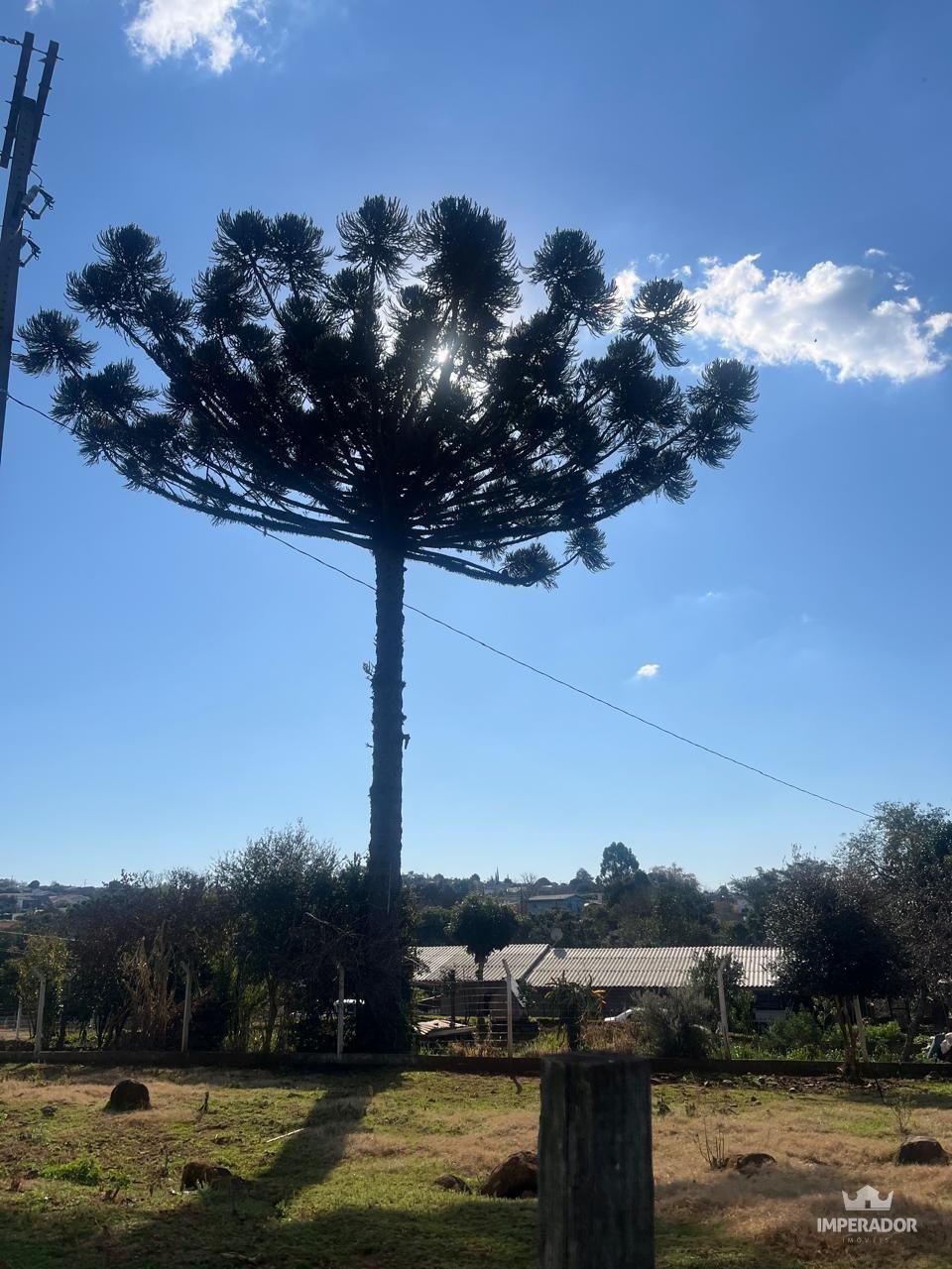 CASA A VENDA NO BAIRRO NOVO HORIZONTE