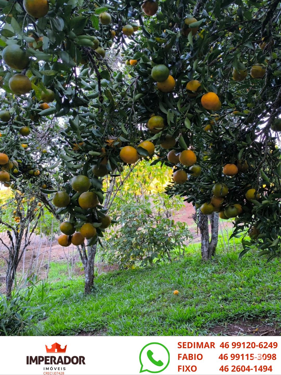 Imperador Imveis em Pato Branco PR