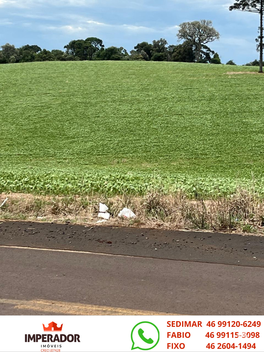 Imperador Im�veis em Pato Branco PR