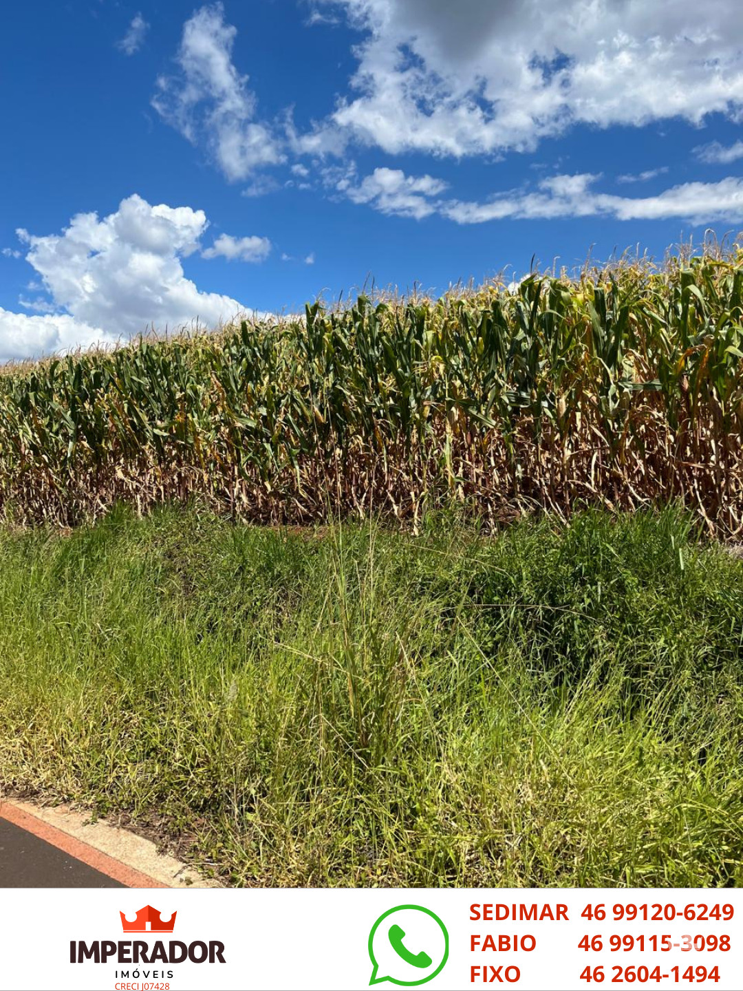 Imperador Im�veis em Pato Branco PR