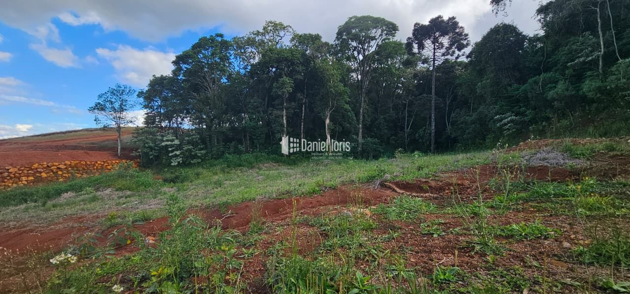 Terreno à venda no Bela Vista, SAO LOURENCO DO OESTE (SC) — foto 3 de 5