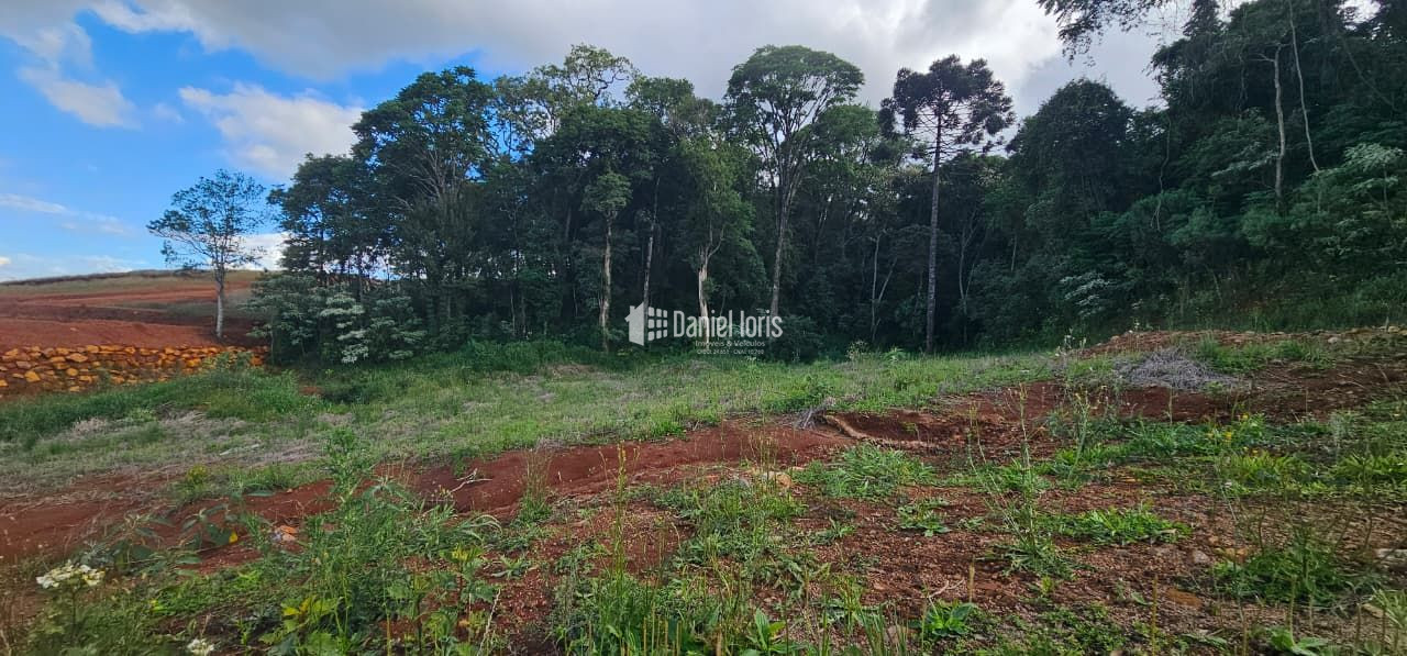 Terreno à venda no Bela Vista, SAO LOURENCO DO OESTE (SC) — foto 4 de 5