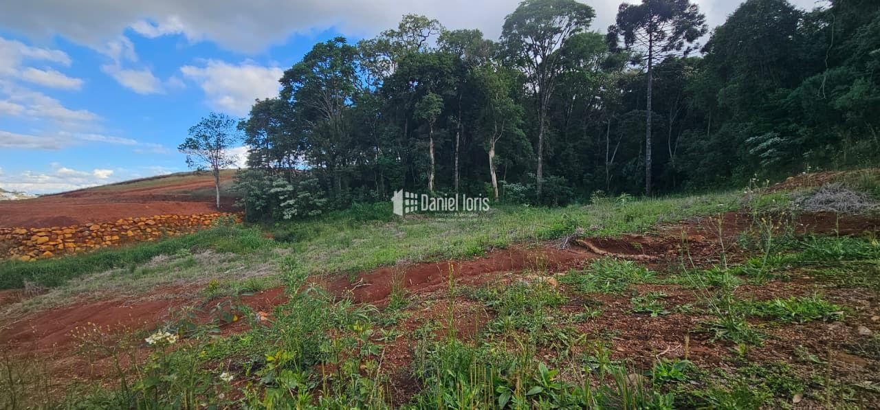 Terreno à venda no Bela Vista, SAO LOURENCO DO OESTE (SC) — foto 5 de 5