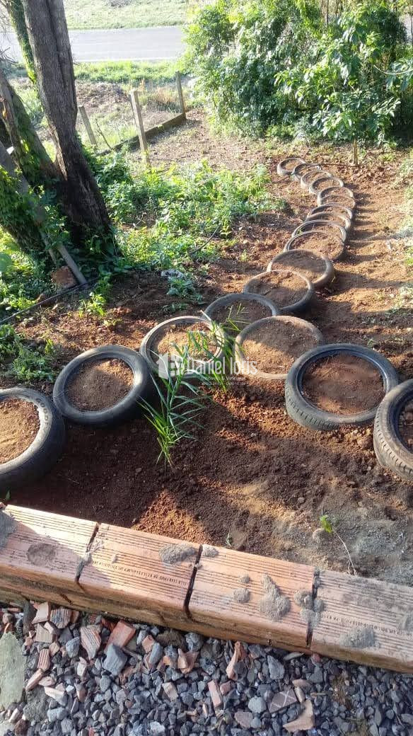Rural à venda no Três Voltas, SAO LOURENCO DO OESTE (SC) — foto 5 de 8